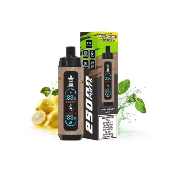 shisha-lenmon-mint-bang-king-e-shisha-25000-600x600