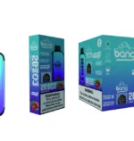 vape-bang-20000-Puffs-00005-654x690.jpg