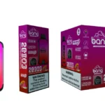 vape-bang-20000-Puffs-00009-654x690.jpg