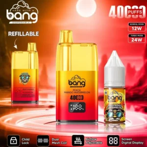 vape-bang-40000-40k-puffs-peach-mango-watermelon-654x690.jpg
