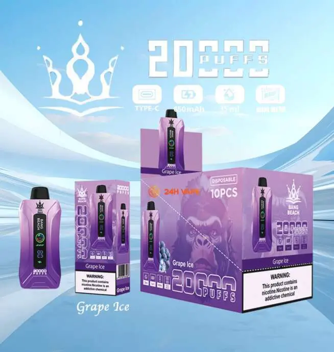vape-bang-beach-20000-Puffs-Grape-Ice--654x690.jpg