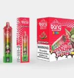 vape-bang-tornado-20000-puffs-watermelon-654x690.jpg