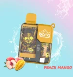 vapemaison-bang-box-9000-puffs-00005-654x690.jpg
