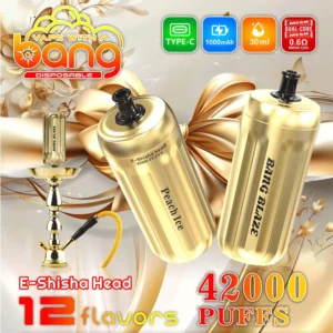 vapemaison-bang-e-shisha-head-42000-puffs-bang-e-shisha-head-42000.jpg