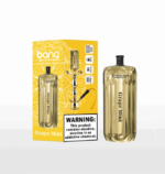 Vapemaison Bang E Shisha Head Puffs Grape Mint.png