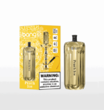 Vapemaison Bang E Shisha Head Puffs Peach Ice 654x690.png