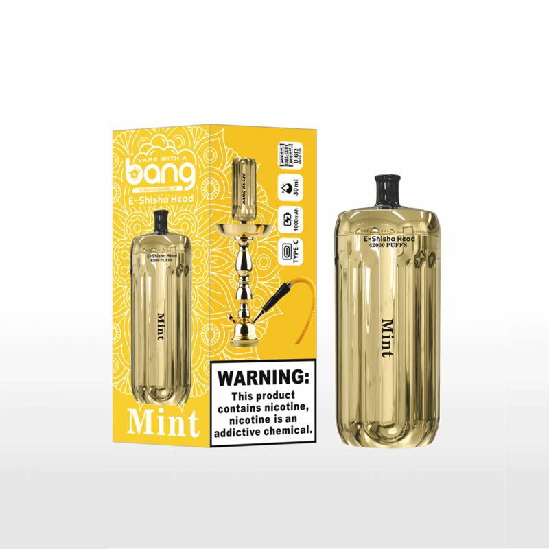 Vapemaison Bang E Shisha Head.png