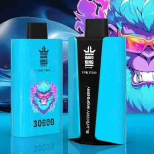 vapemaison-bang-king-30000-pro-blueberry-raspberry-654x690.jpg