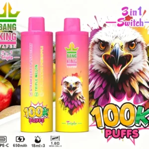vapemaison-bang-king-triple-100k-puffs-strawberry-raspberry-triple-melon-sour-mango-pineapple.jpg