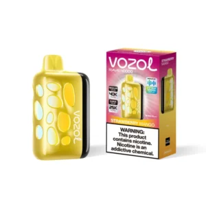 vozol-rave-40000-Strawberry-Mango-3-768x768