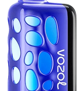 zvozol-rave-400000puffs-5-blueberry-watermelon