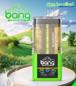 Bang Can Be Lied Puffs Disposable Vape Picture Display 3 Min