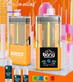 Bang Can Be Lied Puffs Disposable Vape Picture Display 5 Min