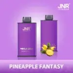 jnr-mega-box-25000-puffs-24-pineapple-fantasny-560x