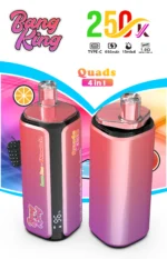 Bang King Puffs Disposable Vape Flavor 1 Scaled