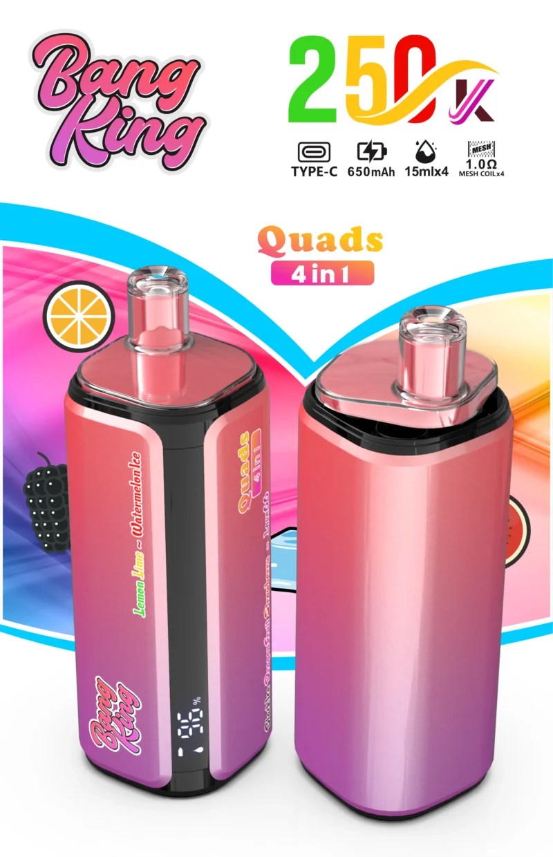 Bang King Puffs Disposable Vape Flavor 1 Scaled