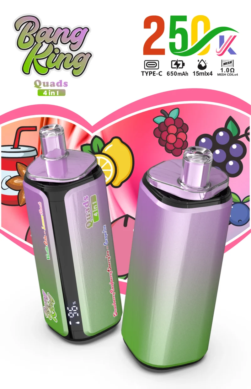 Bang King Puffs Disposable Vape Flavor 2 Scaled