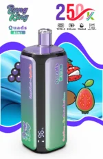 Bang King Puffs Disposable Vape Flavor 3 Scaled