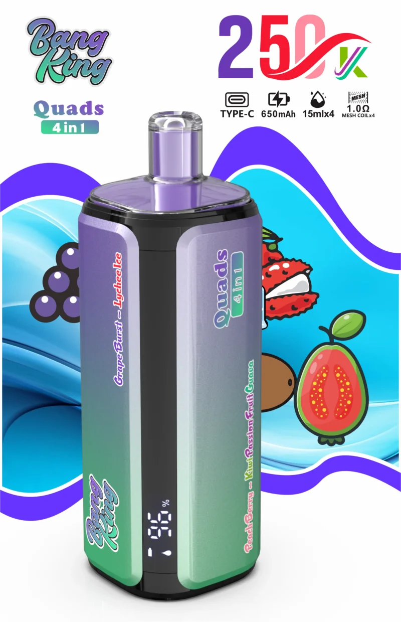 Bang King Puffs Disposable Vape Flavor 3 Scaled