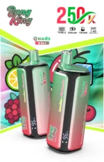 Bang King Puffs Disposable Vape Flavor 6 Scaled