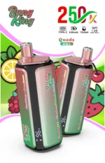 Bang King Puffs Disposable Vape Flavor 9 Scaled