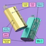 Vapemaison Airmez Puffs Disposable Vape Tech