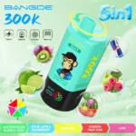 bangde-300000-puffs-vape-5in1-flavor-6