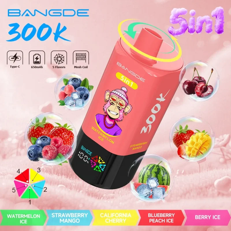 Bangde Puffs Vape 5in1 Flavor design