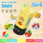bangde-300000-puffs-vape-5in1-flavor-9