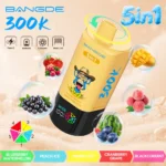 Bangde Puffs Vape 5in1 Flavor Blueberry Watermelon Peach Ice Mango Cranberry Grape Blackcurrant