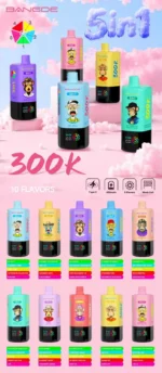 Bangde Puffs Vape 5in1 Flavor List