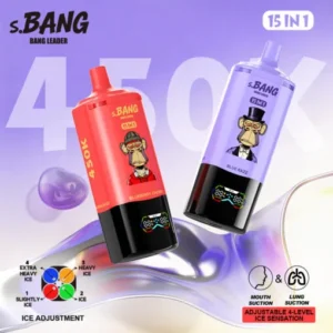 Vapemaison Bang Leader 450k Puffs 15in1 Vape Flavor Main Picture