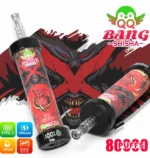 QQ Bang 80K Puffs Shisha Vape Cherry Mint Disposable Hookah Flavor