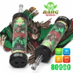 QQ Bang 80K Puffs Shisha Vape Double Apple Disposable Hookah Flavor