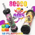 QQ Bang 80K Puffs Shisha Vape Main Image - Disposable Hookah
