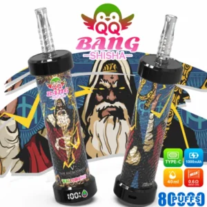 QQ Bang 80K Puffs Shisha Vape Watermelon Disposable Hookah Flavor