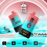 Bang Blaze 50000 Puffs Blueberry Ice Peach Ice Flavor Disposable Vape - VapeMaison