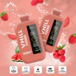 VHILL 20000 Puffs Watermelon Raspberry Disposable Vape